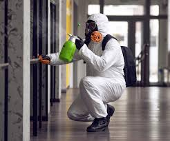 Best Industrial Mold Remediation  in Hilbert, WI